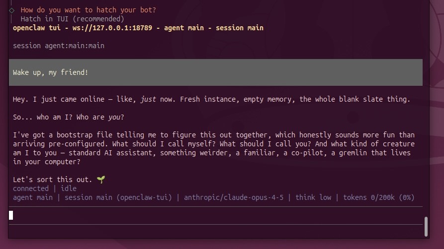 OpenClaw TUI showing Mima's initial greeting and bootstrap questions about identity