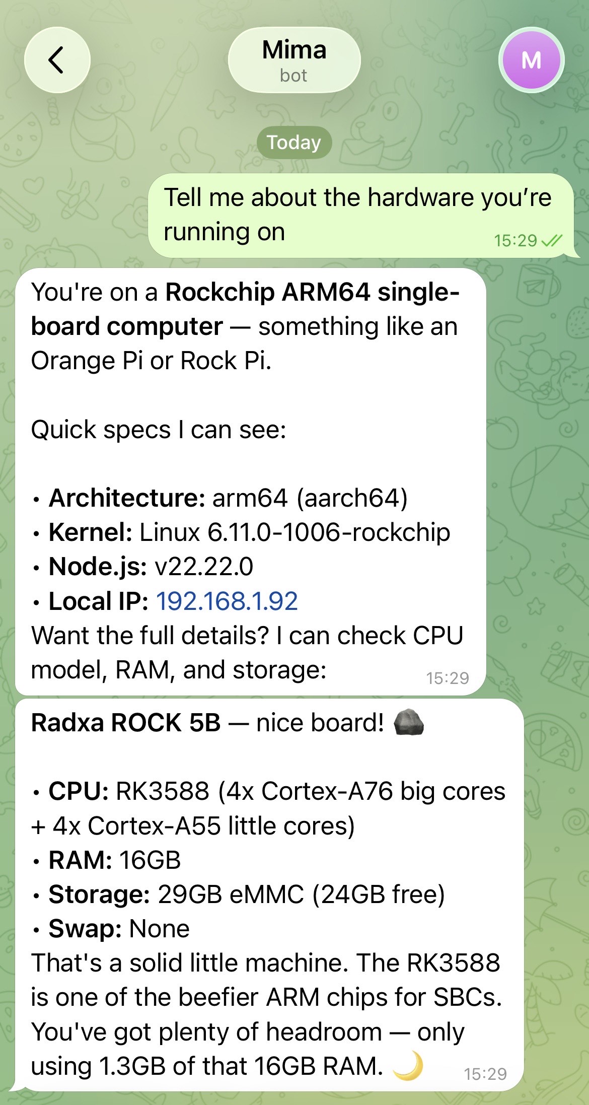 Mima identifying the Radxa ROCK 5B hardware and system specs