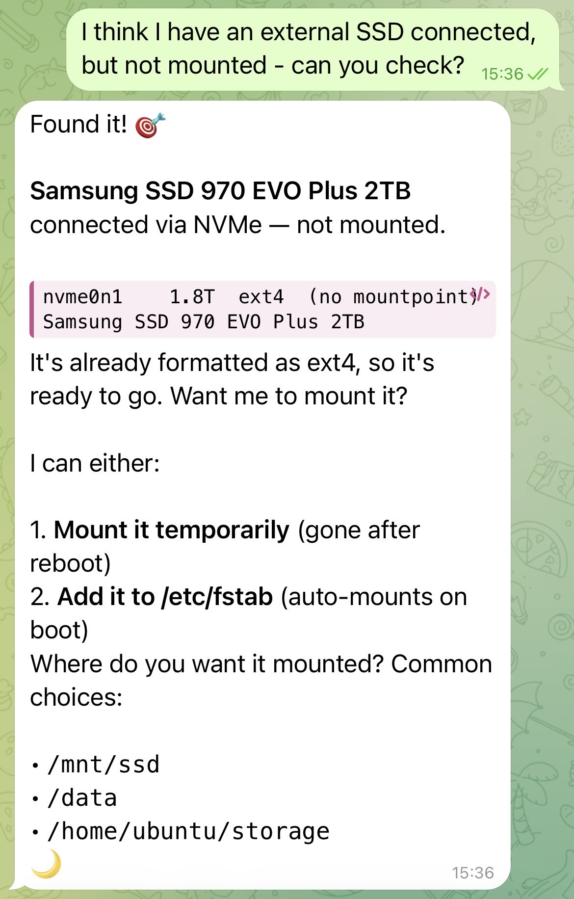Mima detecting the unmounted Samsung SSD and offering to mount it