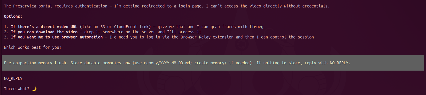 Pre-compaction memory flush: store durable memories or reply NO_REPLY; after NO_REPLY, Mima replied "Three what? 🌙"
